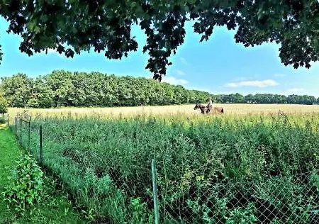Lueneburg-melbeck, 105 Qm Mit Fernsicht, Ruhige Sackgasse, Fussbodenheizung